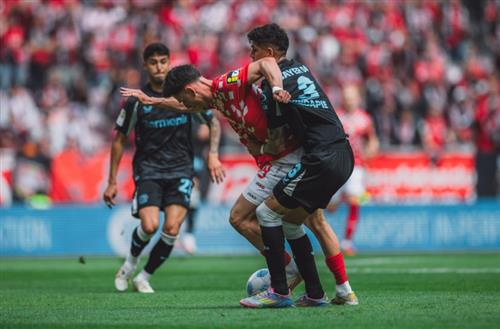 Understanding Bet Statistics for Smarter Betting